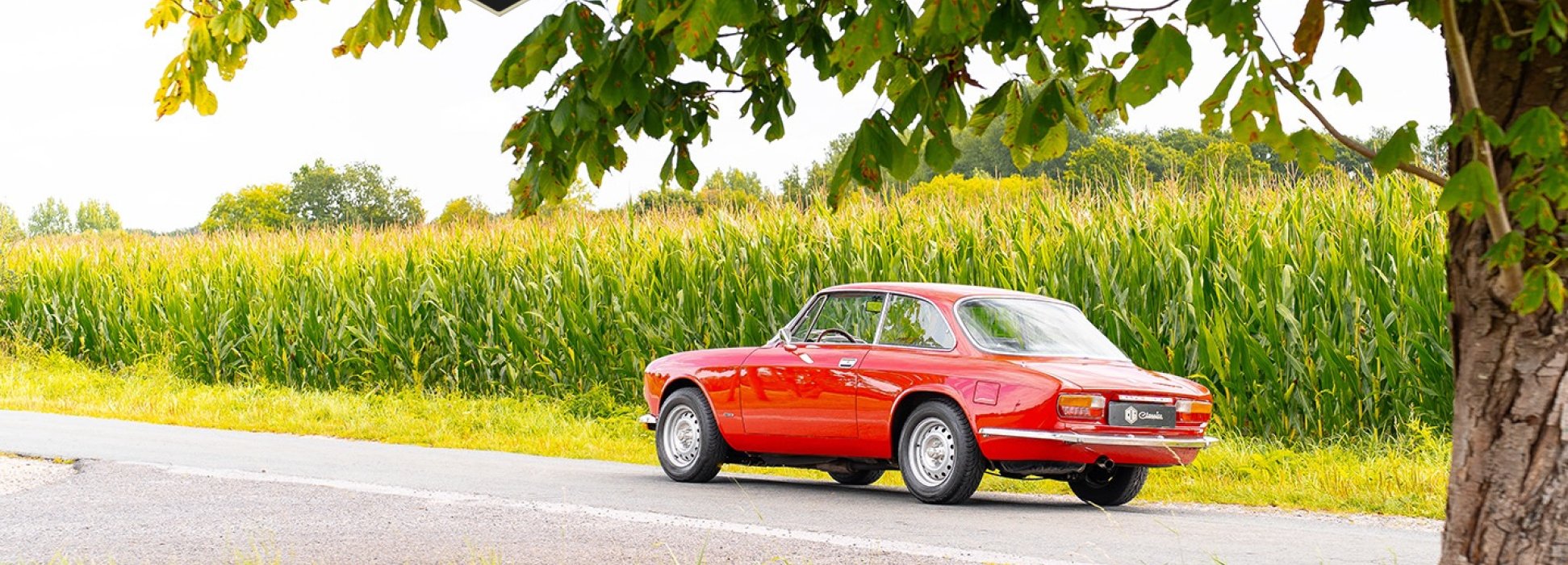 Alfa Romeo GTV 2