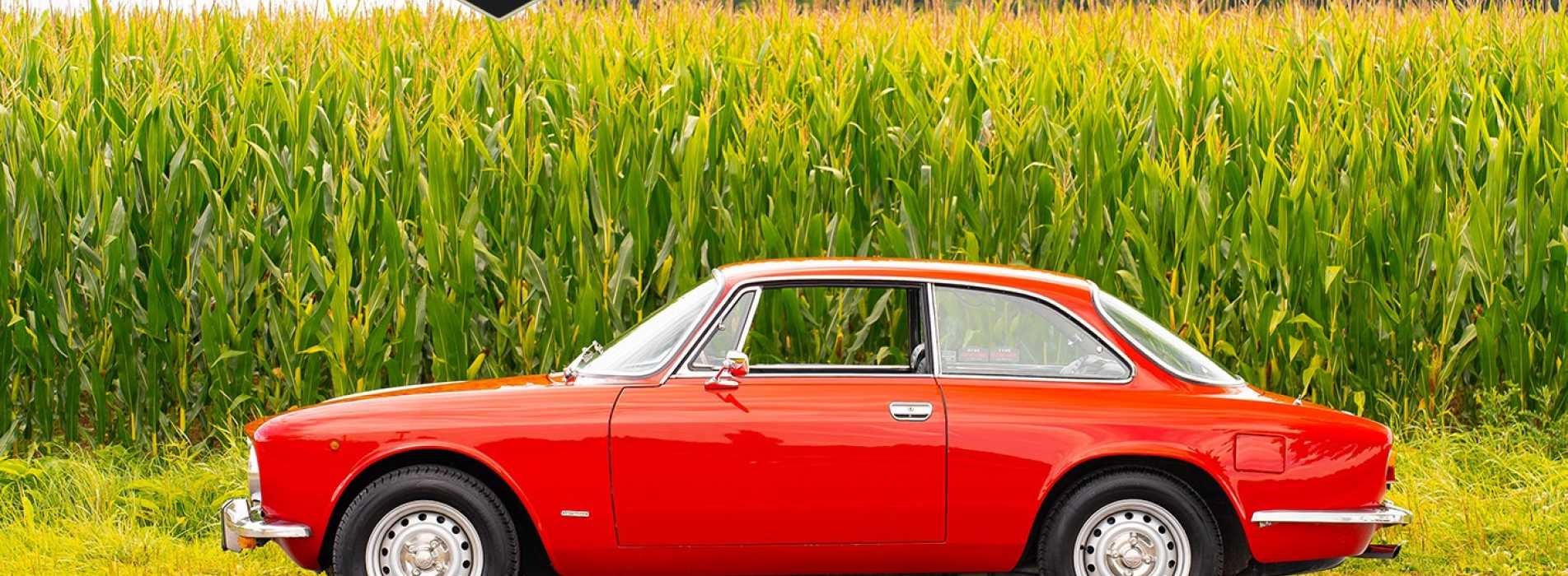 Alfa Romeo GTV 13