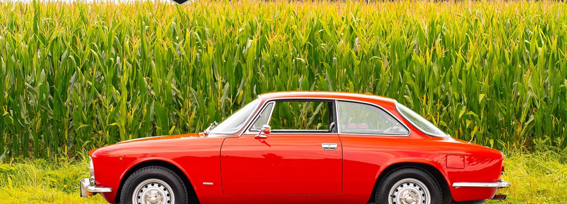 Alfa Romeo GTV 3