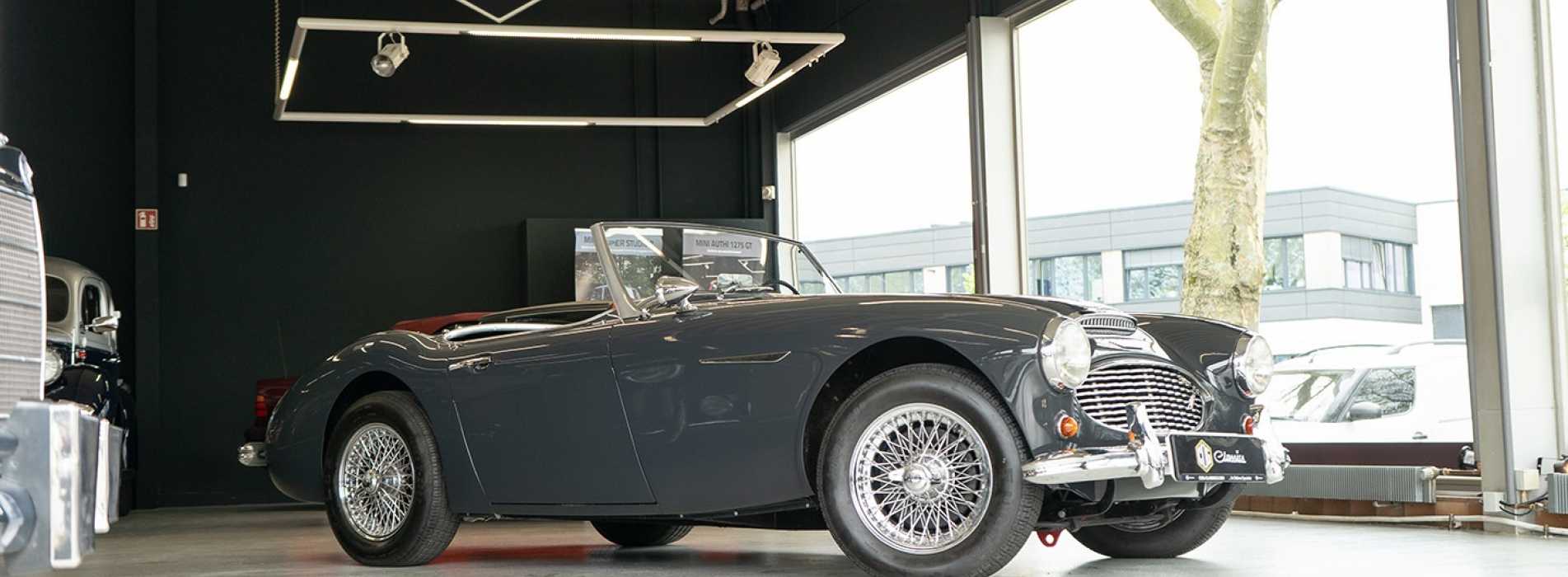 Austin Healey 100/6 BN6  31