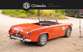 Austin Healey Sprite MKII 15