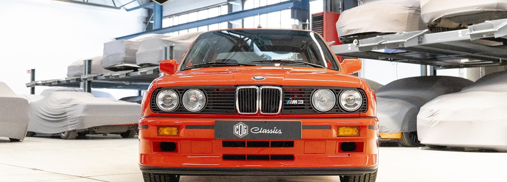 BMW M3 E30 Sport Evolution  6
