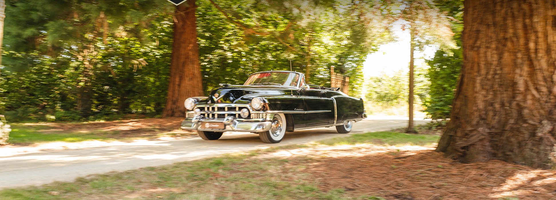 Cadillac Series 62 Convertible 6
