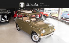 Fiat 500 Giardiniera  19