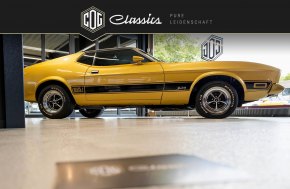 Ford Mustang Mach 1 14