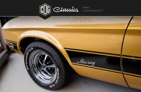 Ford Mustang Mach 1 25
