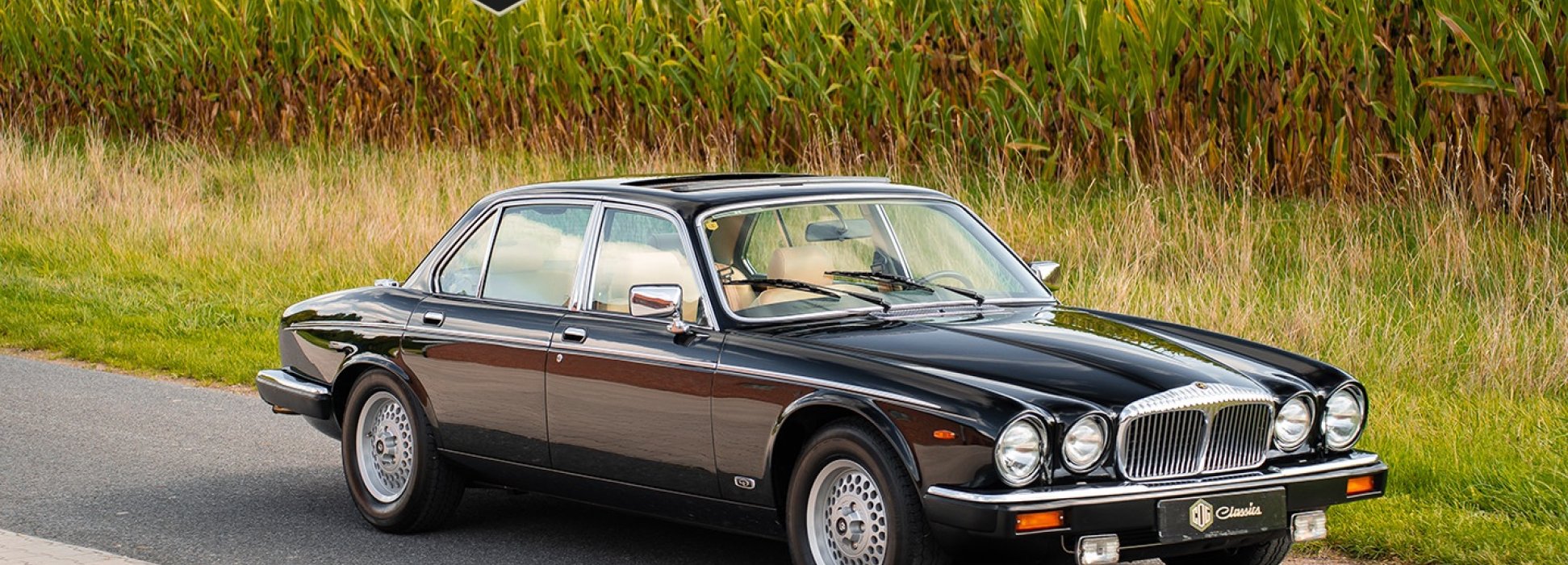 Jaguar Daimler Double Six 2