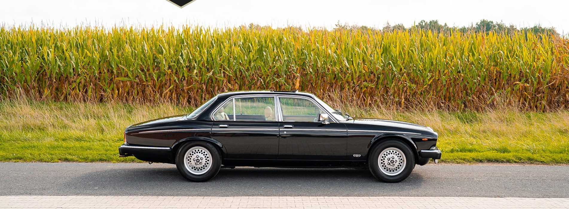 Jaguar Daimler Double Six 19