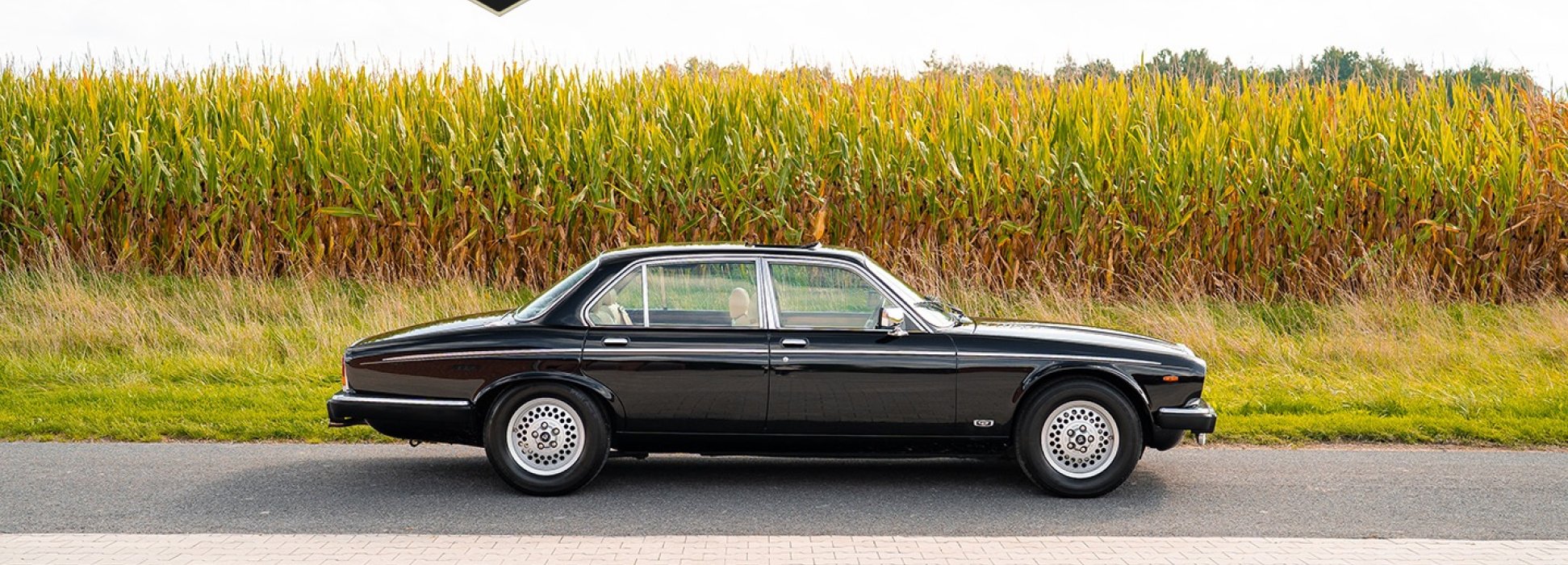 Jaguar Daimler Double Six 3