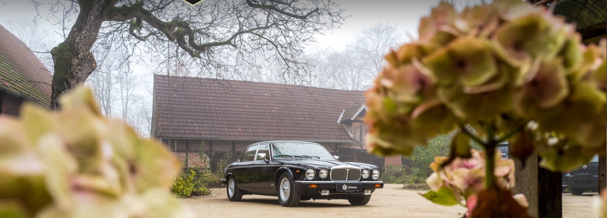 Jaguar Daimler Double Six 2