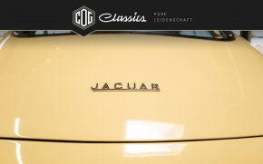 Jaguar E-Type Serie I 48