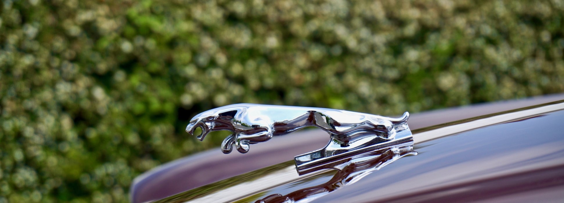 Jaguar XJ Sovereign H.E. 5