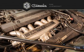 Jaguar XJS V12 Insignia Ausstattung 117