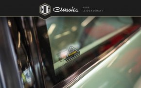 Jaguar XJS V12 Insignia Ausstattung 50