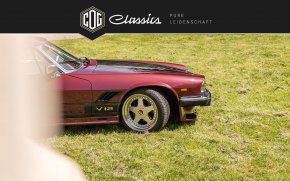Jaguar XJS V12 Arden  4