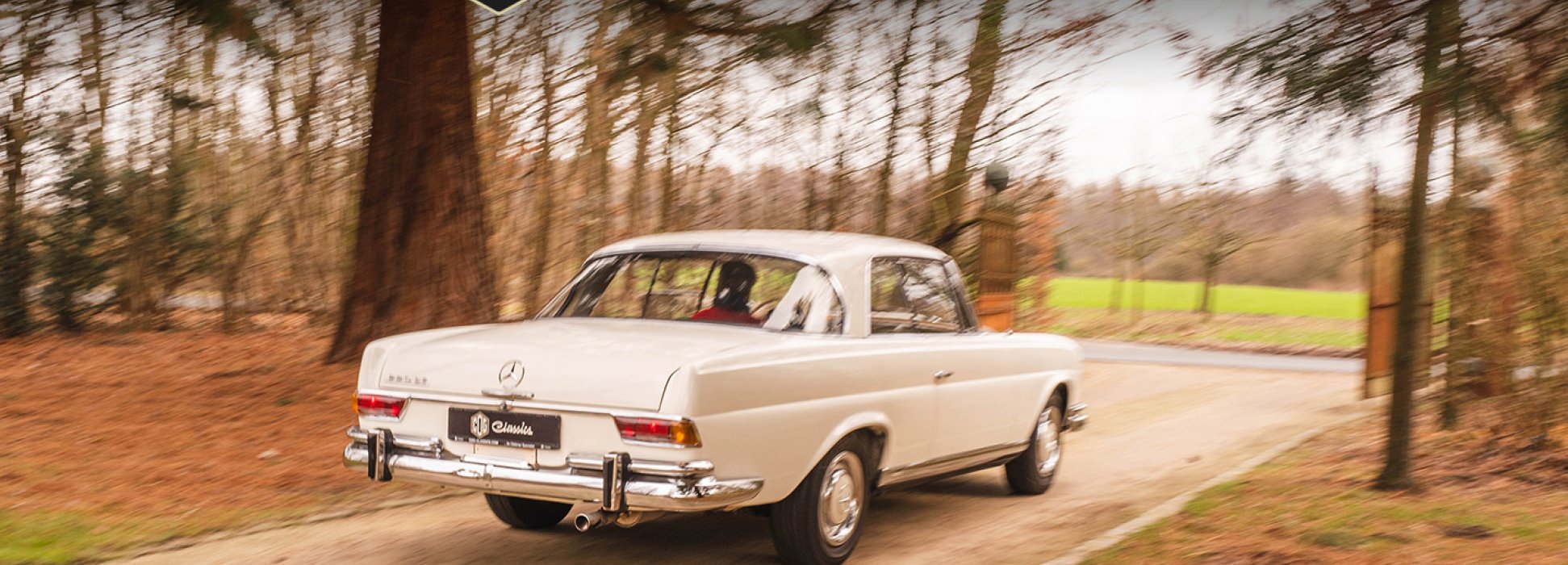 Mercedes-Benz 220 SE W111 8