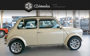 MINI Cooper MPI 19