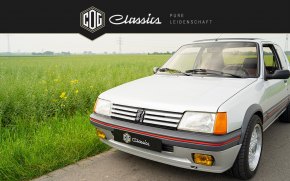 Peugeot 205 GTI  6