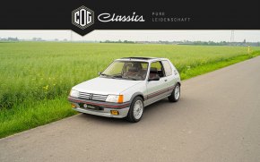 Peugeot 205 GTI  8