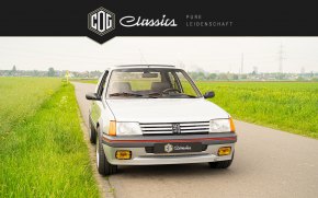 Peugeot 205 GTI  16