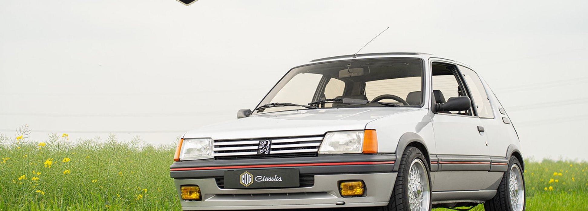 Peugeot 205 GTI  2