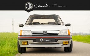 Peugeot 205 GTI  18