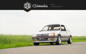 Peugeot 205 GTI  3