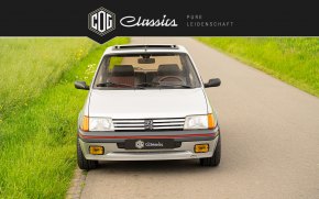 Peugeot 205 GTI  17