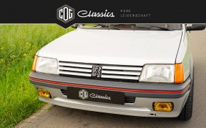 Peugeot 205 GTI  19