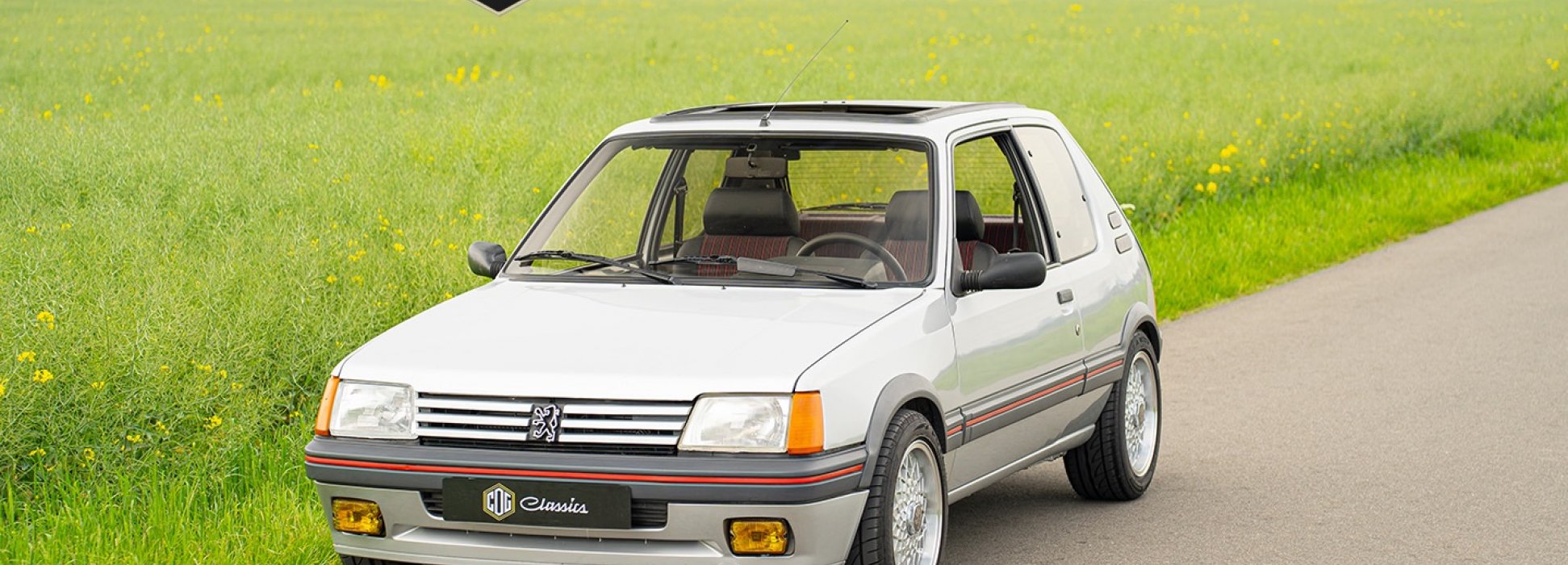 Peugeot 205 GTI  5