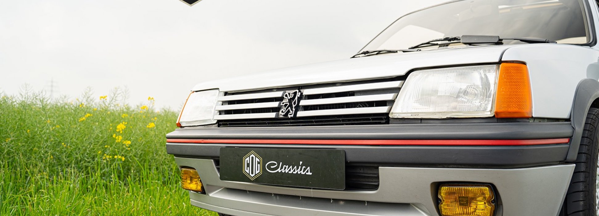 Peugeot 205 GTI  8