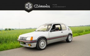 Peugeot 205 GTI  9