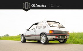 Peugeot 205 GTI  12