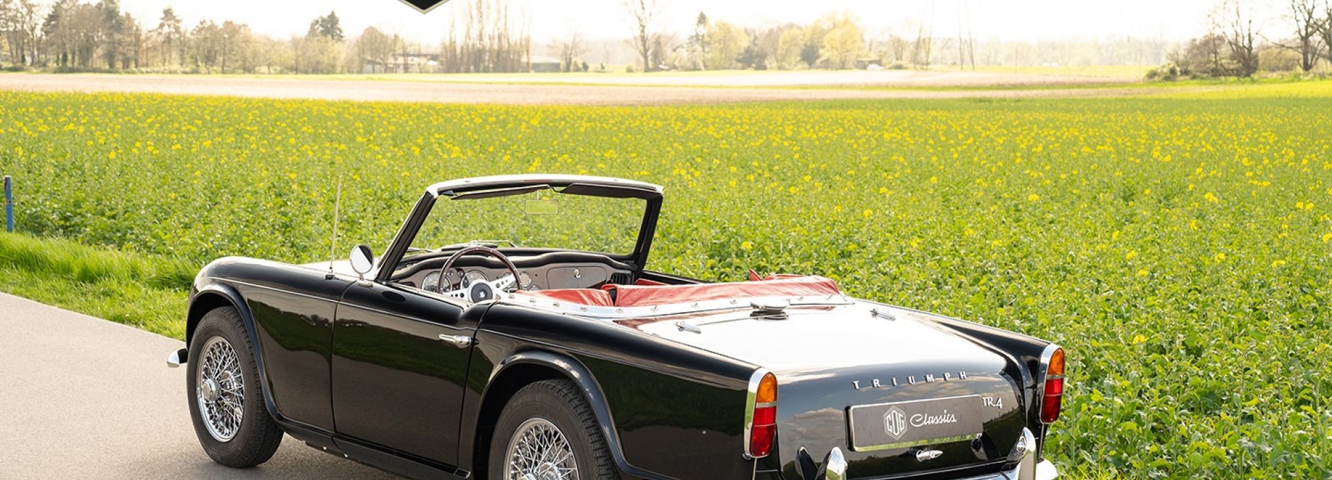 Triumph TR4 6